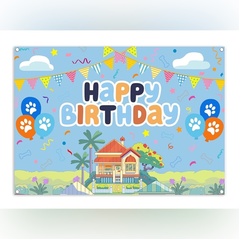 Bluey 1st birthday decorations
